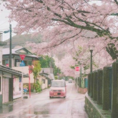 阳光电源：储能行业首选品牌的实...